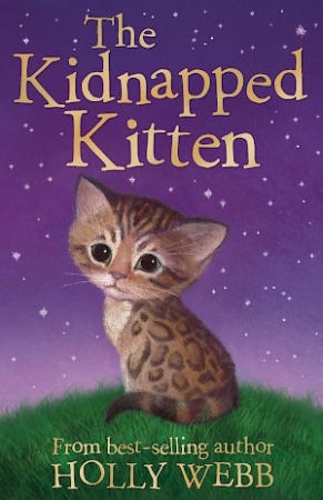Book Cover for The Kidnapped Kitten