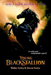 Book Cover for The Young Black Stallion