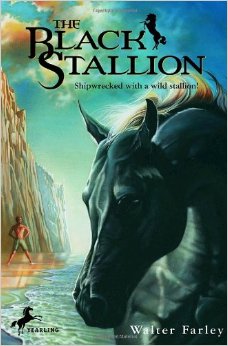 Book Cover for The Black Stallion