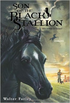 Book Cover for Son of the Black Stallion