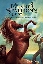 Book Cover for The Island Stallion's Fury