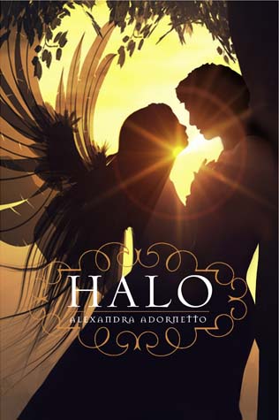 Book Cover for Halo