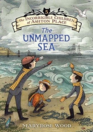 Book Cover for The Unmapped Sea