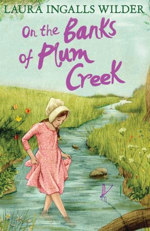 Book Cover for On the Banks of Plum Creek
