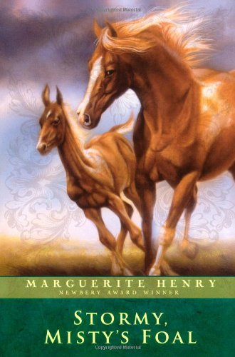 Book Cover for Stormy, Misty's Foal
