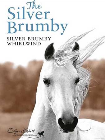 Book Cover for Silver Brumby Whirlwind