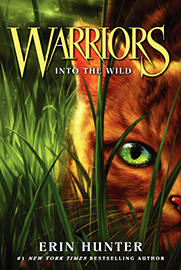Book Cover for Warriors