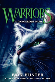 Book Cover for A Dangerous Path