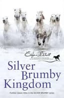 Silver Brumby Kingdom