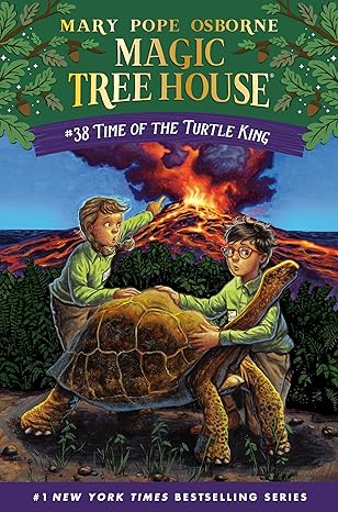 Book Cover for Time of the Turtle King