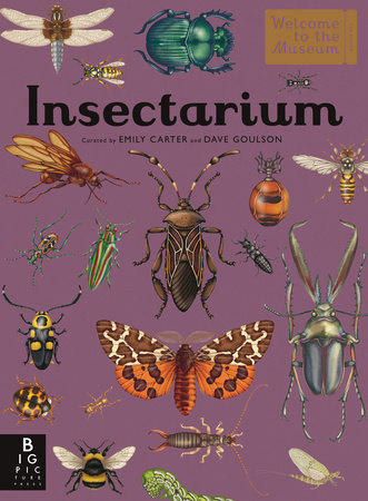 Book Cover for Insectarium