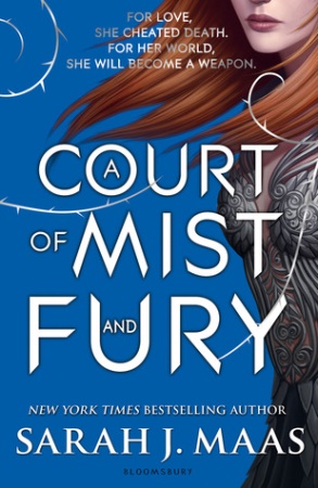Book Cover for A Court of Mist and Fury