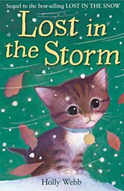 Book Cover for Lost in the Storm