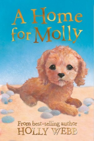 Book Cover for A Home for Molly