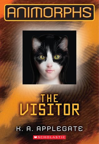 Book Cover for The Visitor