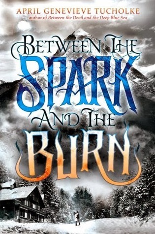 Book Cover for Between the Spark and the Burn