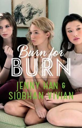 Book Cover for the Burn for Burn Series