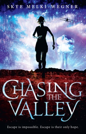 Book Cover for the Chasing the Valley Series