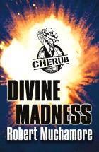 Book Cover for Divine Madness