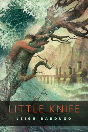 Book Cover for Little Knife