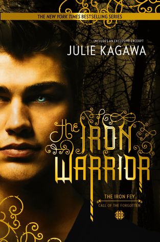 Book Cover for The Iron Warrior