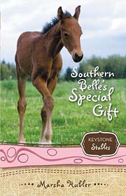 Book Cover for Southern Belle's Special Gift
