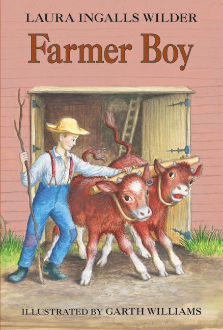 Book Cover for Farmer Boy