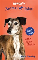 Book Cover for Race to the Finish