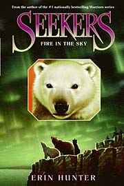 Book Cover for Fire in the Sky