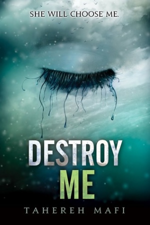Book Cover for Destroy Me