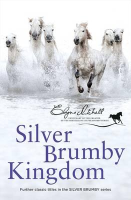 Book Cover for Silver Brumby Kingdom