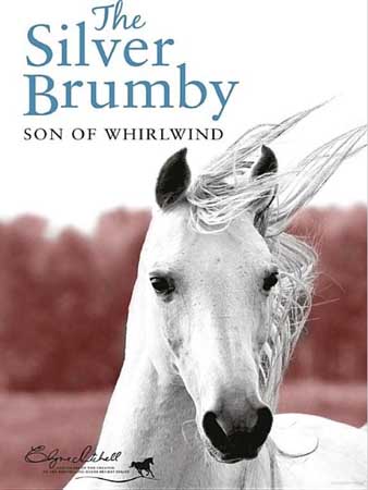 Book Cover for Son of the Whirlwind