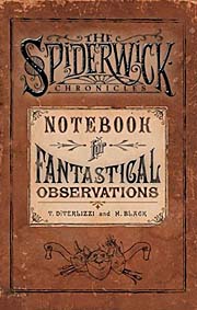 Book Cover for Notebook for Fantastical Observations