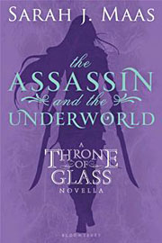 Book Cover for The Assassin and the Underworld