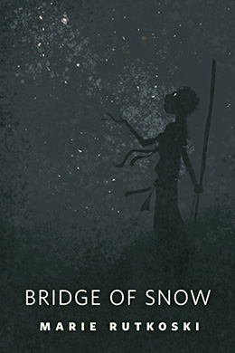 Book Cover for The Bridge of Snow